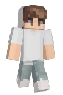 AE686 Minecraft avatar full body