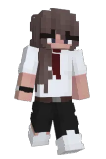 AE97 Minecraft avatar full body