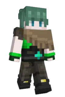 AEEV3 Minecraft avatar full body
