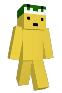 AESA817 Minecraft avatar full body