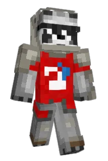 AEther_Net Minecraft avatar full body