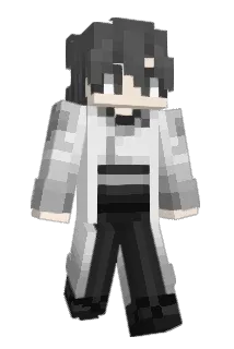 AFJD6 Minecraft avatar full body