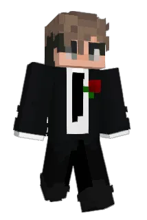 AFSRN Minecraft avatar full body