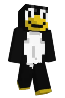 AH8 Minecraft avatar full body