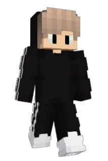 AHNG Minecraft avatar full body