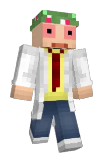 AHSS Minecraft avatar full body