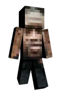 AIDDSS Minecraft avatar full body