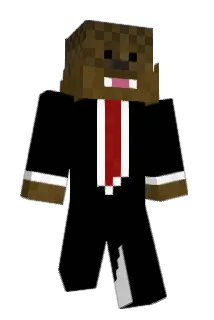 AIDENJAMES31 Minecraft avatar full body