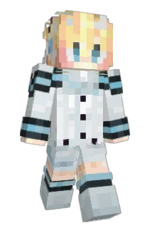AINGG06 Minecraft avatar full body