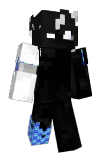 AISINESA Minecraft avatar full body