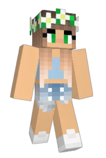 AJQ1214 Minecraft avatar full body