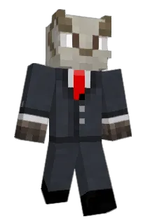 AK144 Minecraft avatar full body
