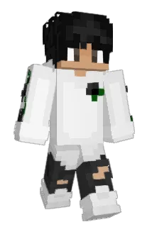 AK_742 Minecraft avatar full body