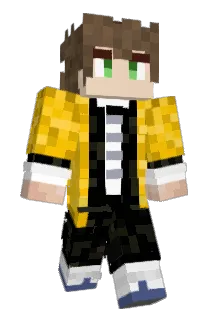 AL17_ Minecraft avatar full body