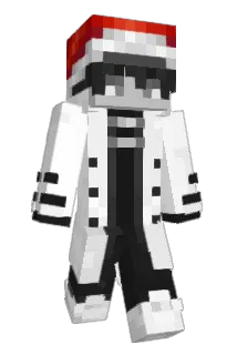 ALANnDAN Minecraft avatar full body