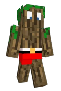 ALEAR575 Minecraft avatar full body