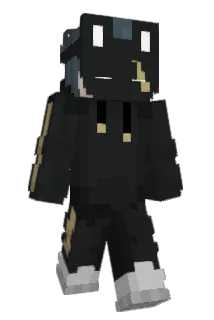 ALER_LR Minecraft avatar full body