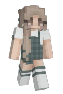 AME0303 Minecraft avatar full body