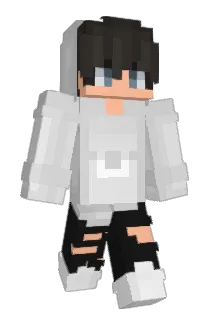 AMINHAN Minecraft avatar full body