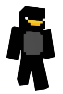 AM_313 Minecraft avatar full body