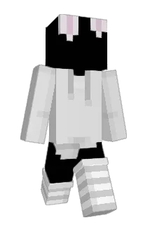 AN1MOL Minecraft avatar full body