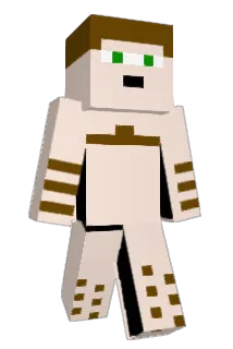 AN4REY Minecraft avatar full body