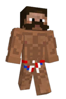 ANALASTEROID Minecraft avatar full body