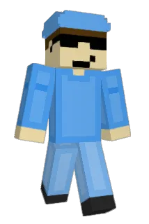 ANAS503 Minecraft avatar full body