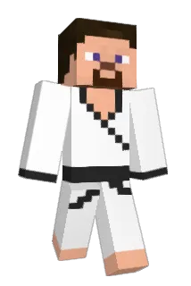 ANDZINSAN Minecraft avatar full body