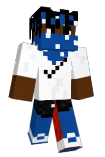 ANILC2 Minecraft avatar full body