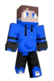 ANIP0 Minecraft avatar full body