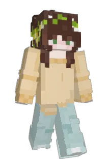 ANamtre Minecraft avatar full body