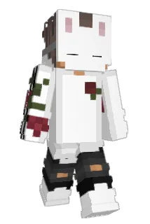 AOKversichert Minecraft avatar full body
