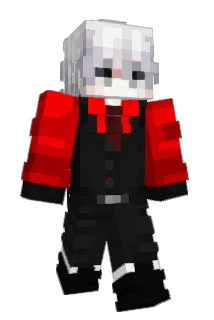 AOMSINs Minecraft avatar full body