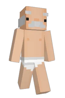APC345 Minecraft avatar full body