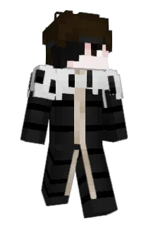 APP1112 Minecraft avatar full body