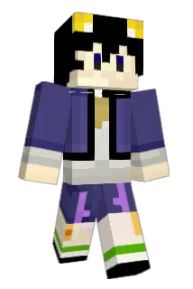 APWDOG Minecraft avatar full body
