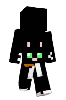 AQPQ2 Minecraft avatar full body