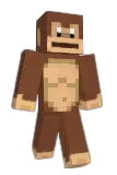 AR11YAN Minecraft avatar full body
