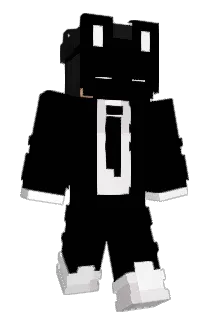ARDZ1 Minecraft avatar full body