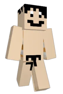 ARTIMON100 Minecraft avatar full body