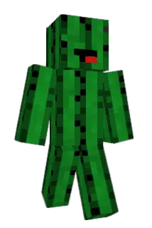 ARealist Minecraft avatar full body