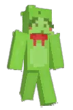ARegularCat Minecraft avatar full body