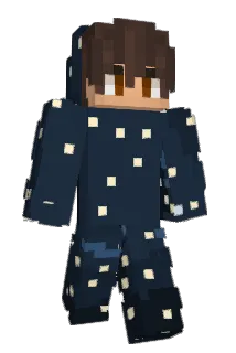AS2CARREAU Minecraft avatar full body