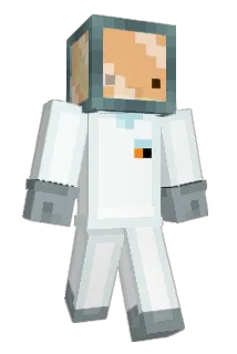 AS4214 Minecraft avatar full body