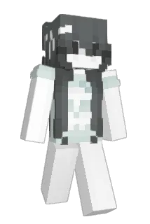 ASLEI Minecraft avatar full body