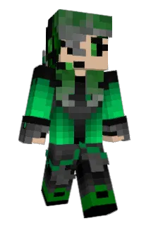 ASSE_2007 Minecraft avatar full body