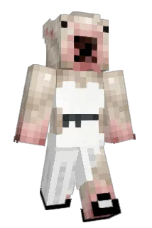 ASS_BALLA Minecraft avatar full body