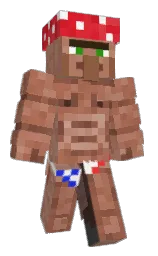 Custom render preview
