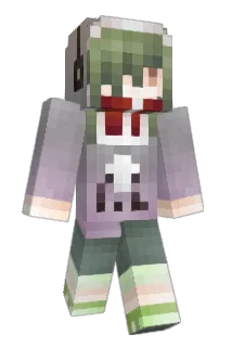 AV22333 Minecraft avatar full body